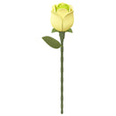 Produktfoto der Robotime Green Rose, Kunststoffbausatz einer grünen Rose