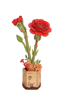 Robotime Red Carnation / Rote Nelke TW052