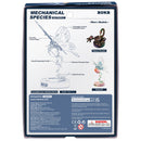 Robotime Butterfly (blue) MI05B