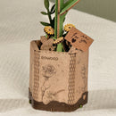 Robotime Sunflower / Sonnenblume TW011