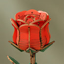 Robotime Red Rose / Rote Rose TW042