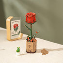 Robotime Red Rose / Rote Rose TW042