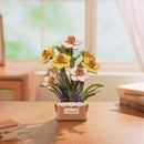 Atmosphärische Videopräsentation der Robotime Narcissus, Holzbausatz mit gelben und weißen Frühlingsblumen