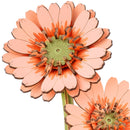 Nahaufnahme von zwei Blumen der Robotime Light Orange Gerbera