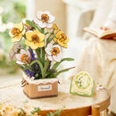 Atmosphärische Präsentation der Robotime Narcissus, Holzbausatz mit gelben und weißen Frühlingsblumen