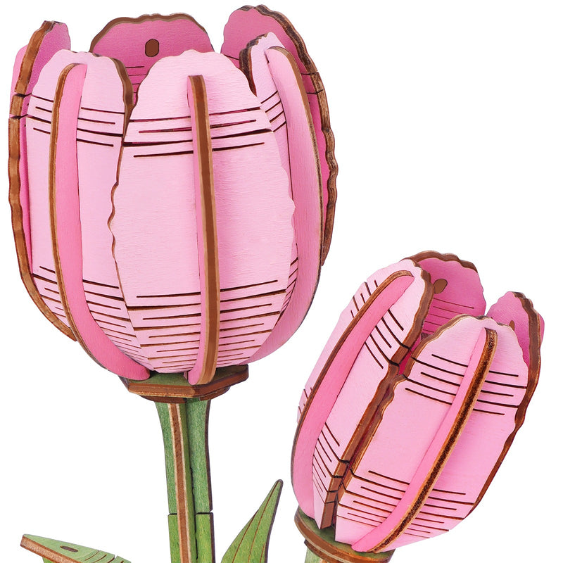 Nahaufnahme der Blüten der Robotime Pink Tulip
