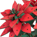 Nahaufnahme einer der Blumen der Robotime Poinsettia