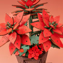 Details der Oberseite des Robotime Poinsettia