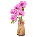 Produktfoto der Robotime Purple Moth Orchid, Holzbausatz einer lila Orchidee