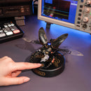 Eine Person aktiviert den Robotime Storm Beetle mit dem Touch-Button