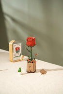 Robotime Red Rose / Rote Rose TW042