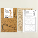 Robotime Sea Horse TG271