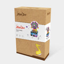 Robotime Ferris wheel AM402