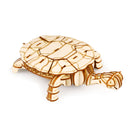 Robotime Turtle TG275